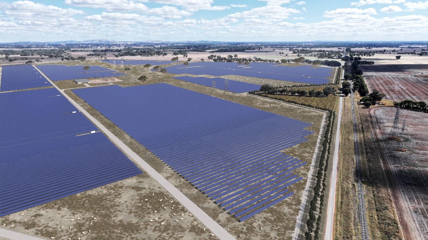 Multiple large paddocks containing rows of solar panels